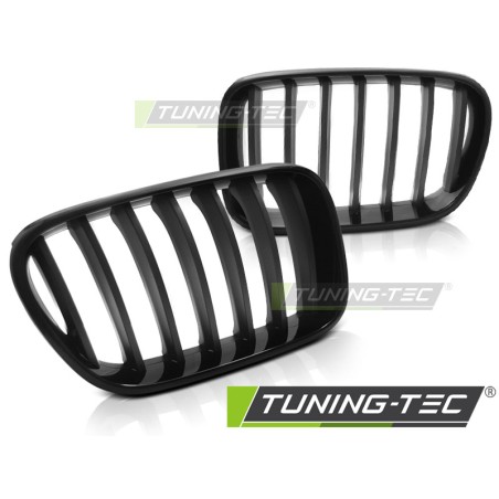 Grille noire brillante-noire mate compatible BMW X3 F25 10-07.14