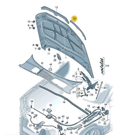 Joint latéral de capot protection contre les impacts Audi A4 B9 2016-