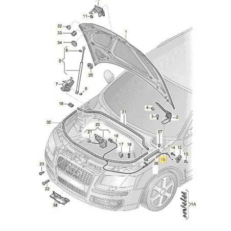 Câble de déverrouillage du capot Audi A3 2004-2013