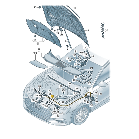 Câble de verrouillage de capot Audi A6 A7 2019-