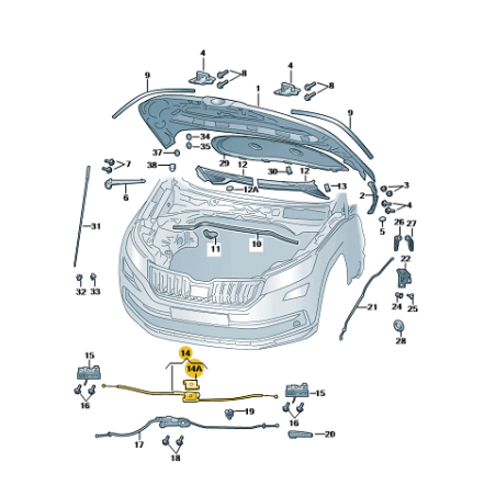 Câble de verrouillage du capot avant SKODA Kamiq SCALA