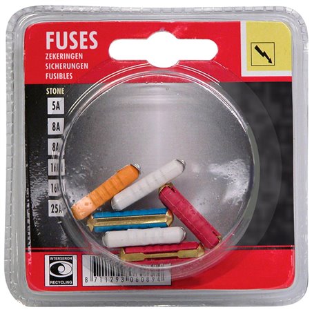 Carpoint Assortiment de Fusibles Stéatite 5-25A 6-pièces