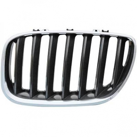 GRILL LI.          BMW X5,