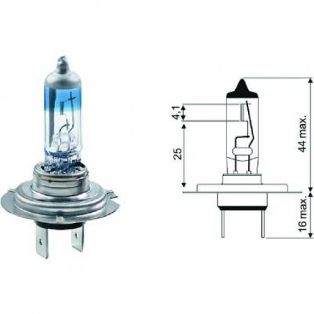 H7 12V 55W PX26d          