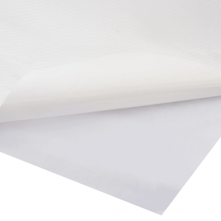 vidaXL Films 4D de voiture 2 pcs Blanc 100x150 cm