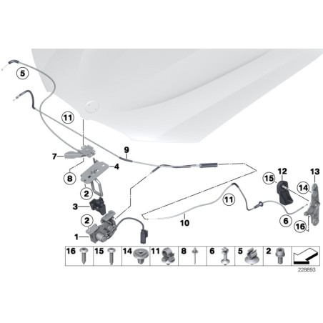 Levier de capot moteur - Pièce d'origine BMW 51239175028